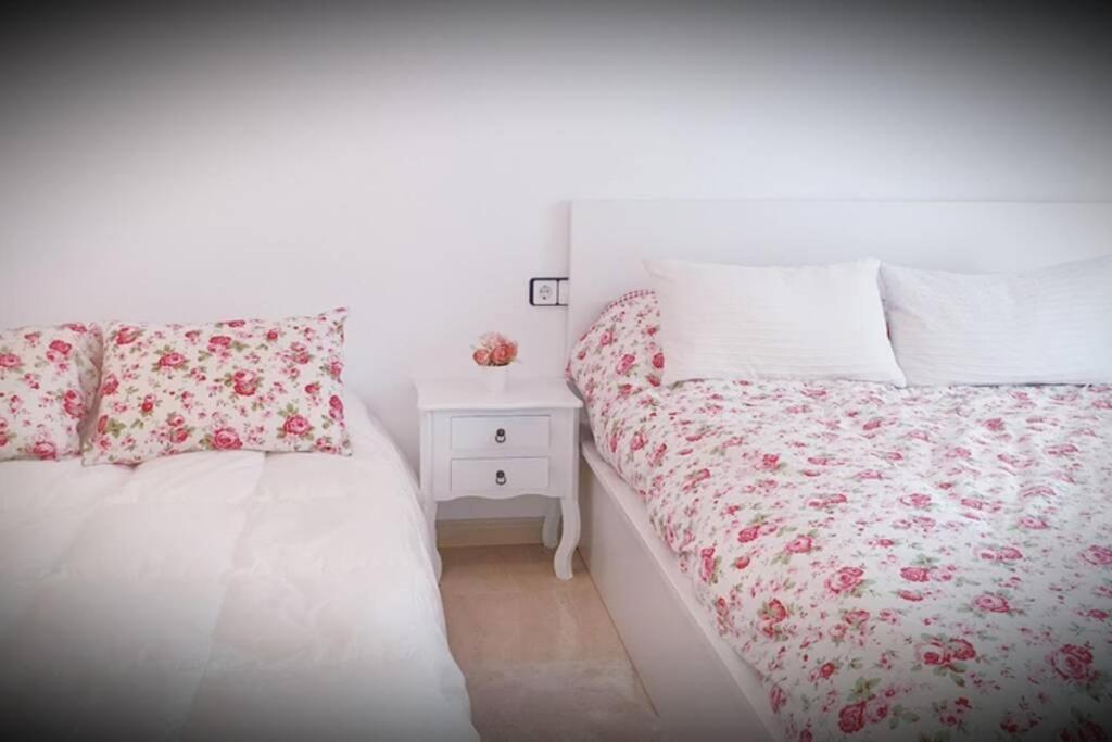 Apartamento Pepa. En El Corazon Del Delta. Sant Jaume d'Enveja Buitenkant foto